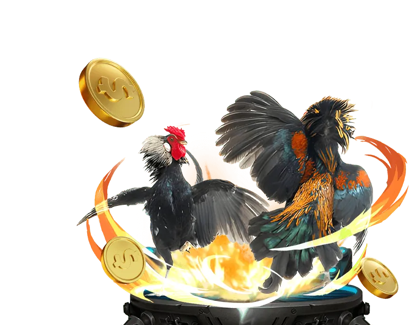 Đấu trường Thomo hiện đại